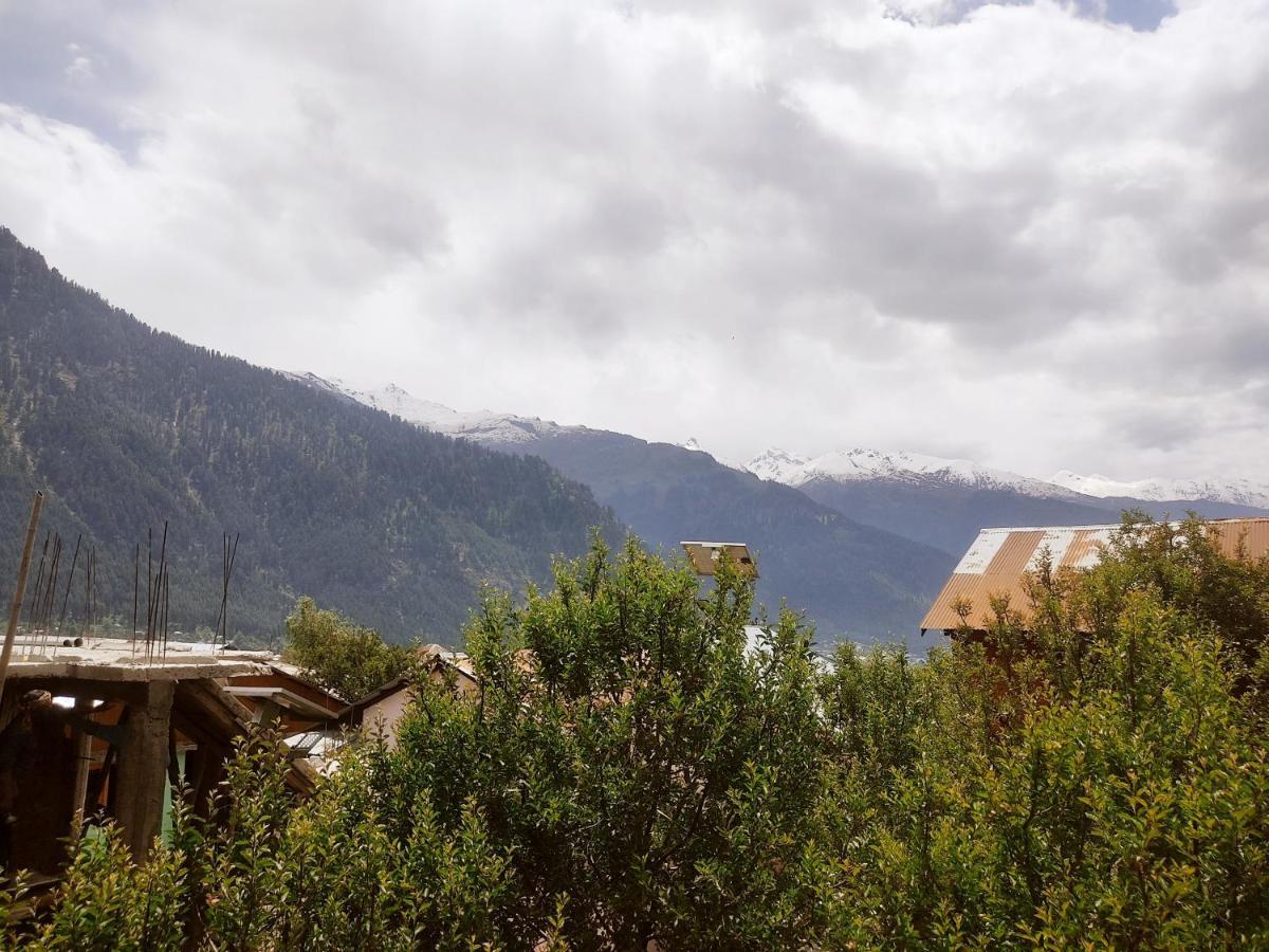 Woods Inn Mountain View Manali Exteriér fotografie